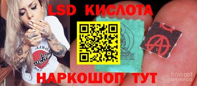 PSILOCYBIN Моздок
