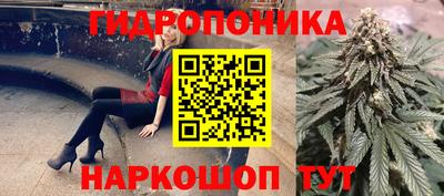 сатива Можга