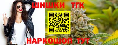 сатива Можга