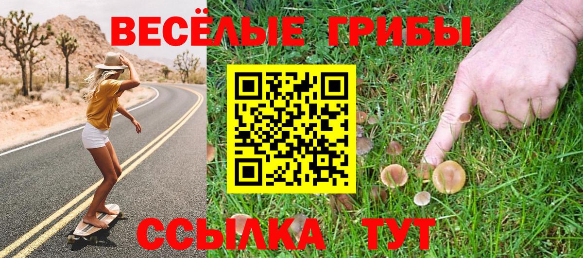 магазин    Вход с VPN  Псилоцибиновые грибы Magic Shrooms  Фрязино  Галлюциногенные грибы мицелий 
